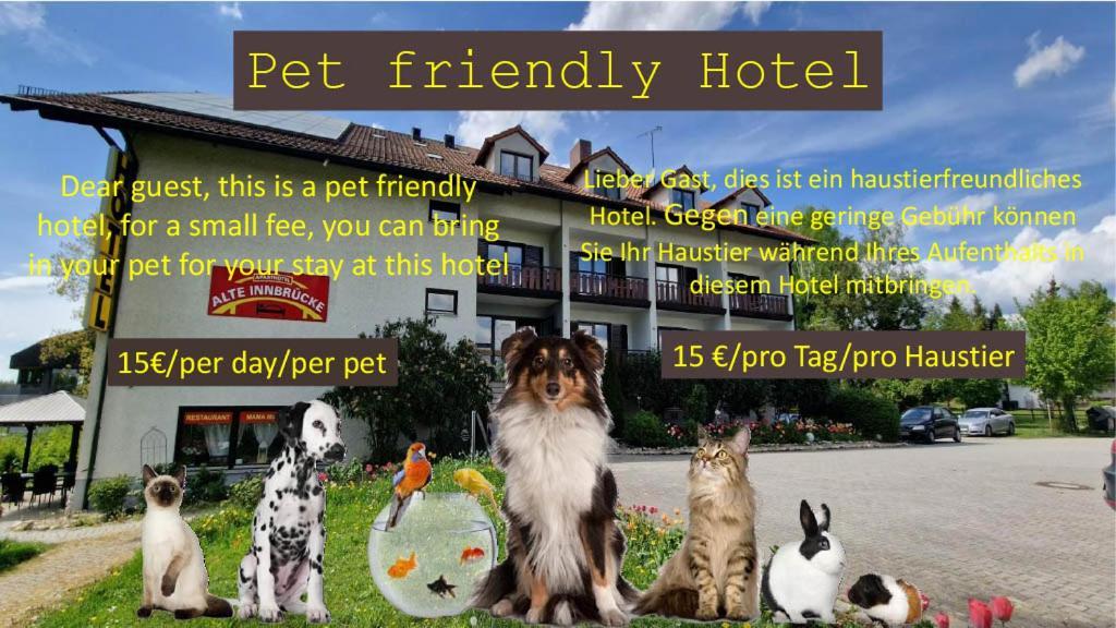 Hotel apartamentowy Alte Innbruecke-24std-self-check In-haustiere Willkommen